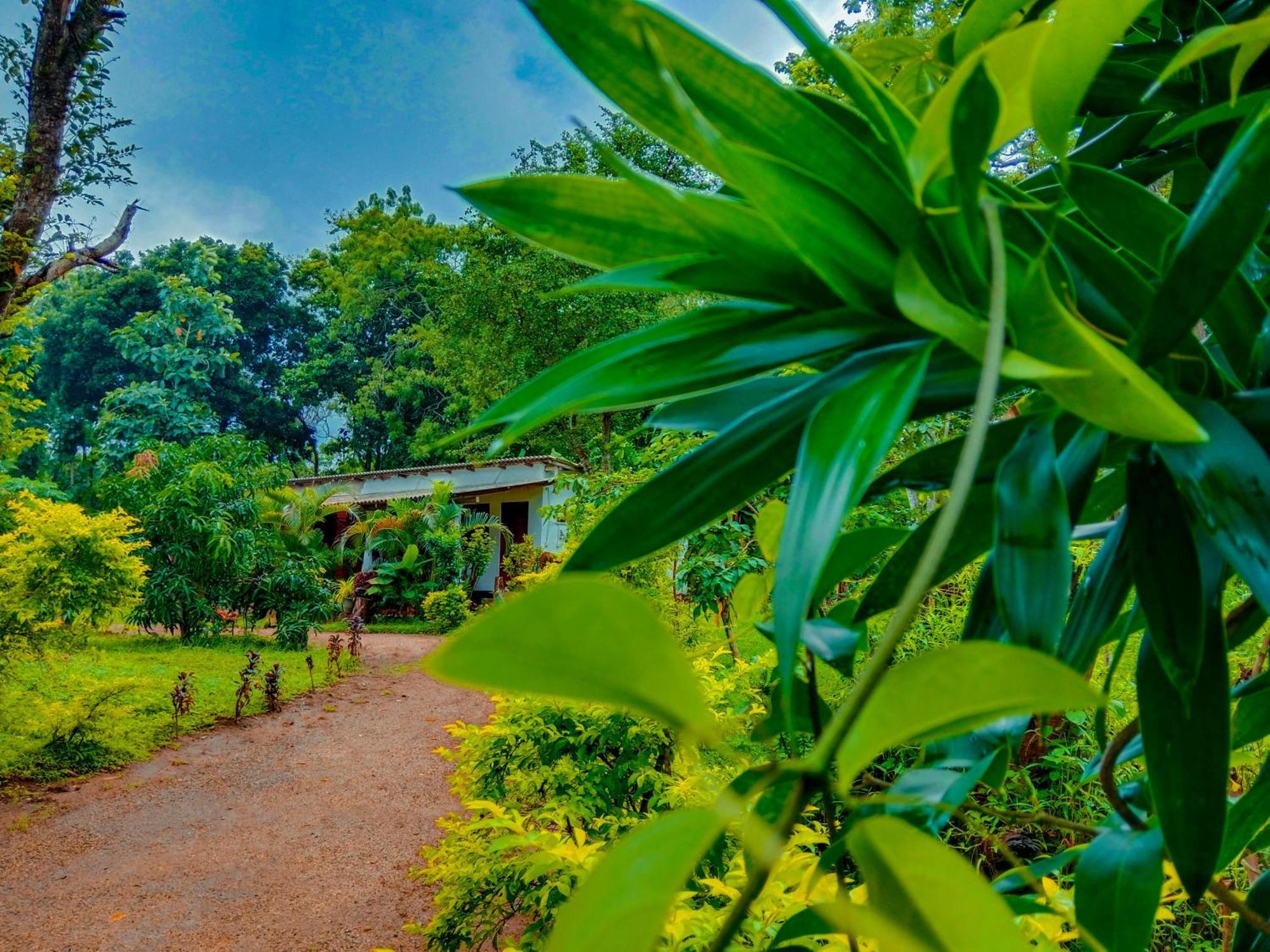 Chanaka Holiday Inn Sigiriya Exteriér fotografie