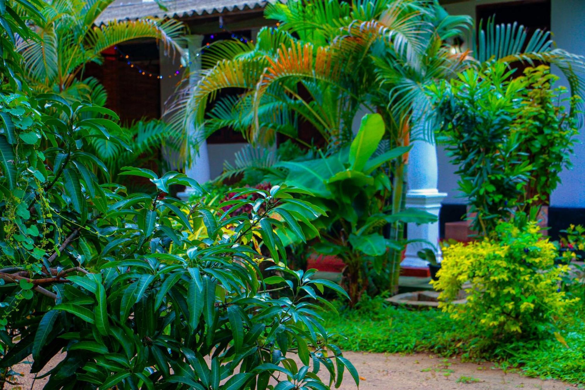 Chanaka Holiday Inn Sigiriya Exteriér fotografie